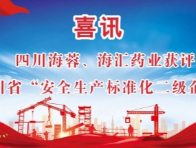 海蓉、海匯藥業(yè)獲評“安全生產(chǎn)標準化二級企業(yè)”